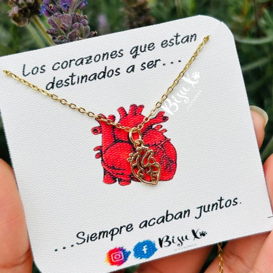 Corazón anatómico